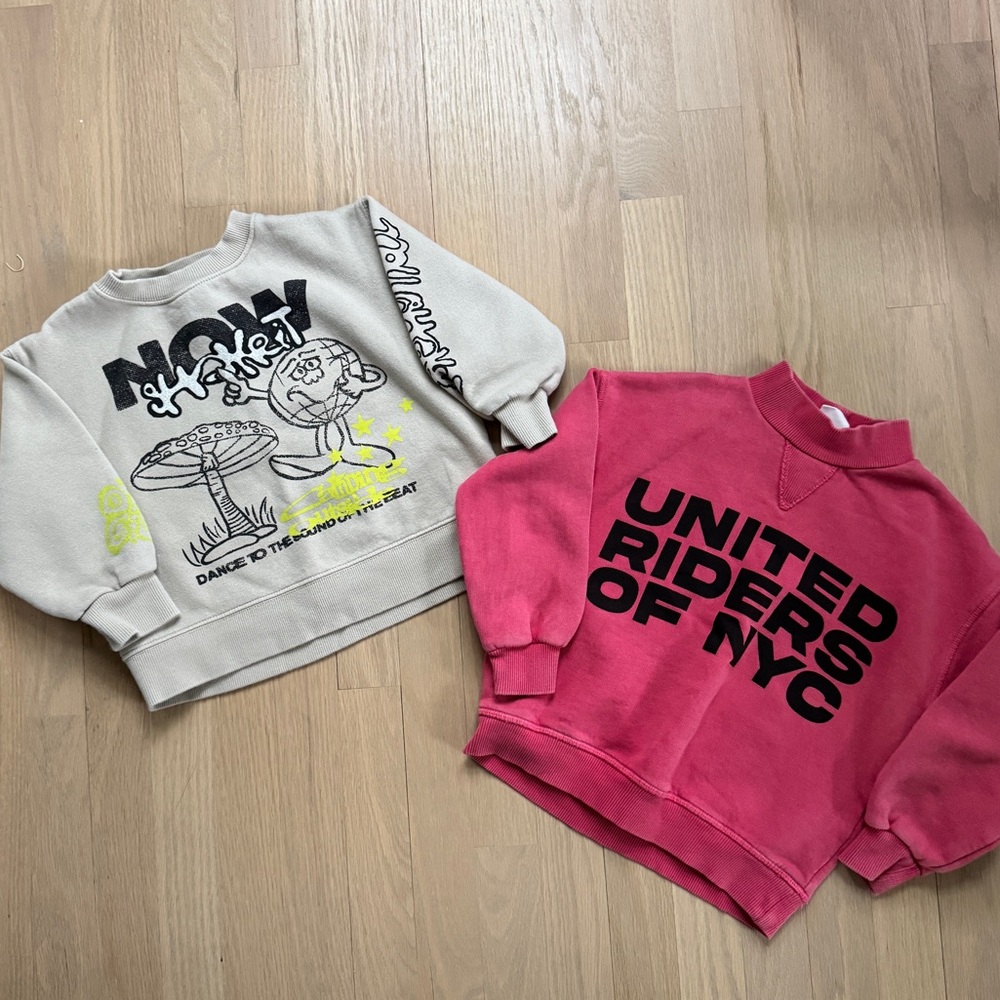 Zara Kids Sweatshirt Set